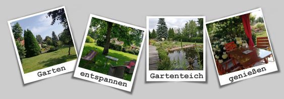 Bilder vom Garten